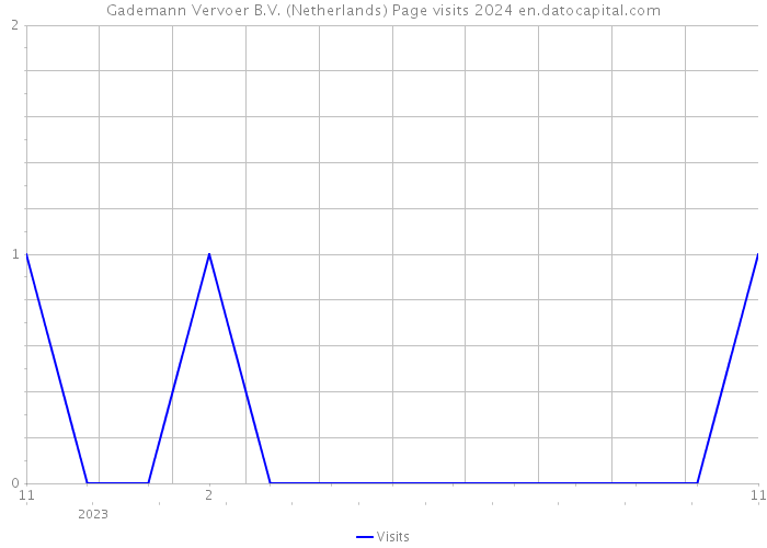 Gademann Vervoer B.V. (Netherlands) Page visits 2024 