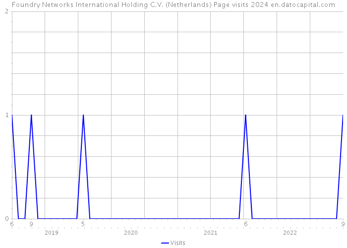 Foundry Networks International Holding C.V. (Netherlands) Page visits 2024 