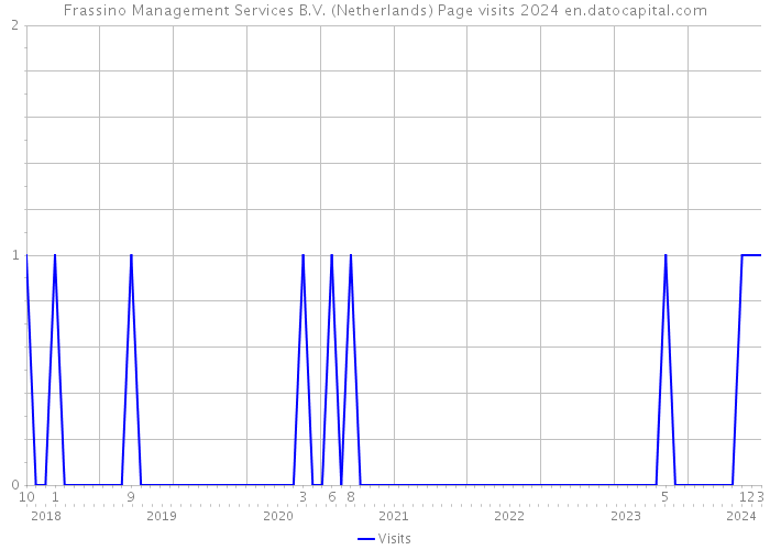 Frassino Management Services B.V. (Netherlands) Page visits 2024 