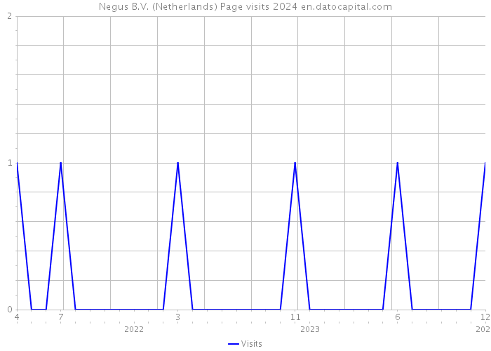 Negus B.V. (Netherlands) Page visits 2024 