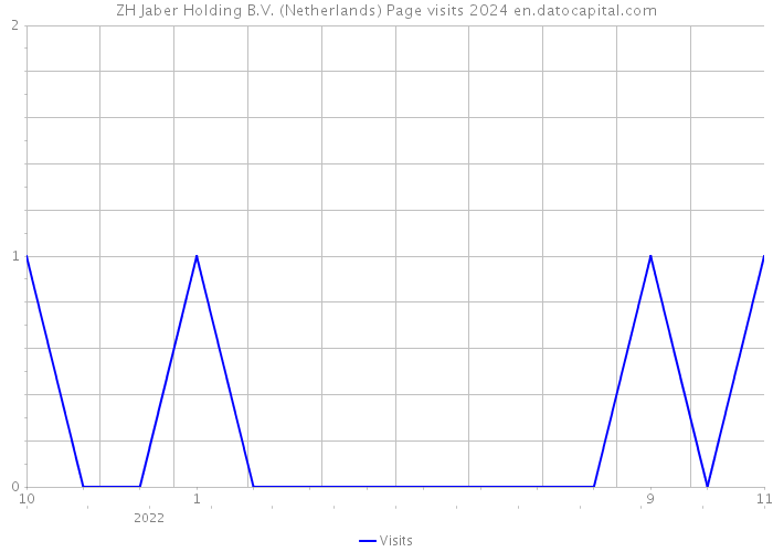 ZH Jaber Holding B.V. (Netherlands) Page visits 2024 