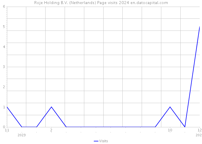 Roje Holding B.V. (Netherlands) Page visits 2024 