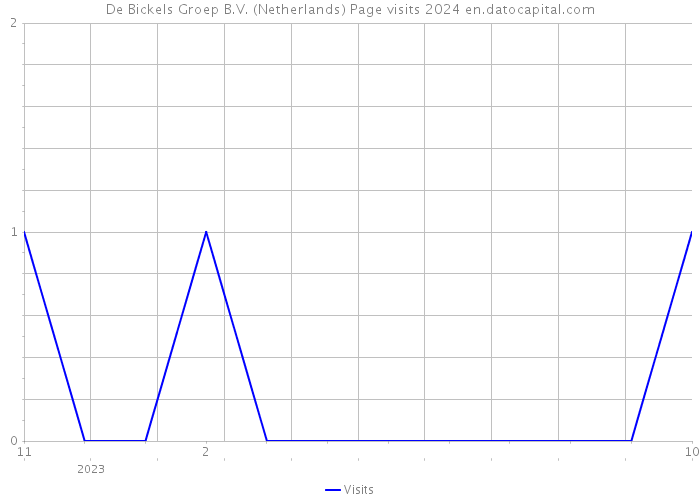 De Bickels Groep B.V. (Netherlands) Page visits 2024 