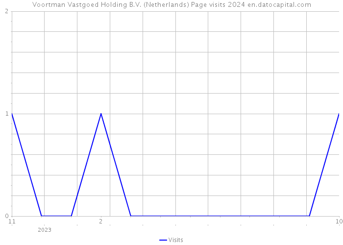 Voortman Vastgoed Holding B.V. (Netherlands) Page visits 2024 