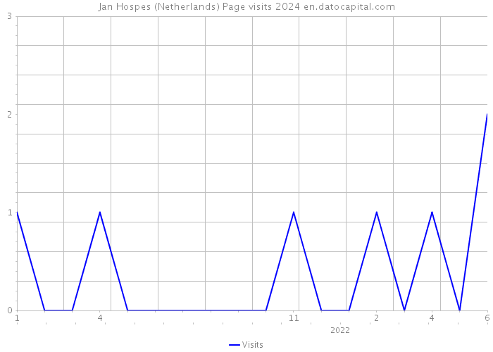 Jan Hospes (Netherlands) Page visits 2024 