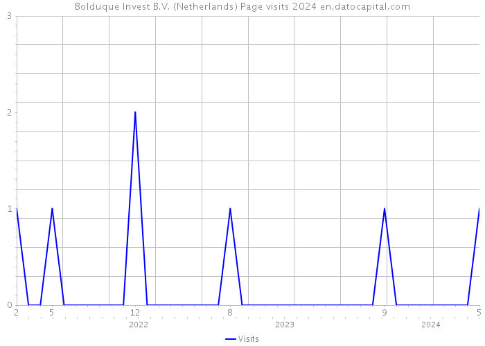 Bolduque Invest B.V. (Netherlands) Page visits 2024 