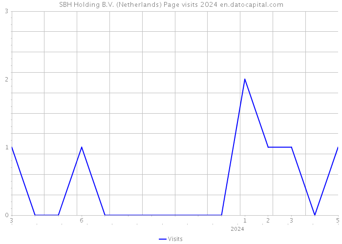 SBH Holding B.V. (Netherlands) Page visits 2024 