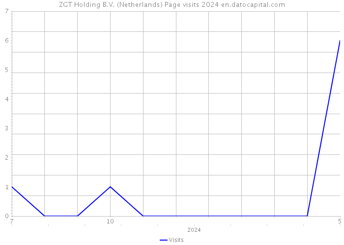 ZGT Holding B.V. (Netherlands) Page visits 2024 
