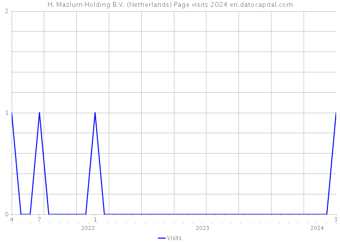 H. Mazlum Holding B.V. (Netherlands) Page visits 2024 