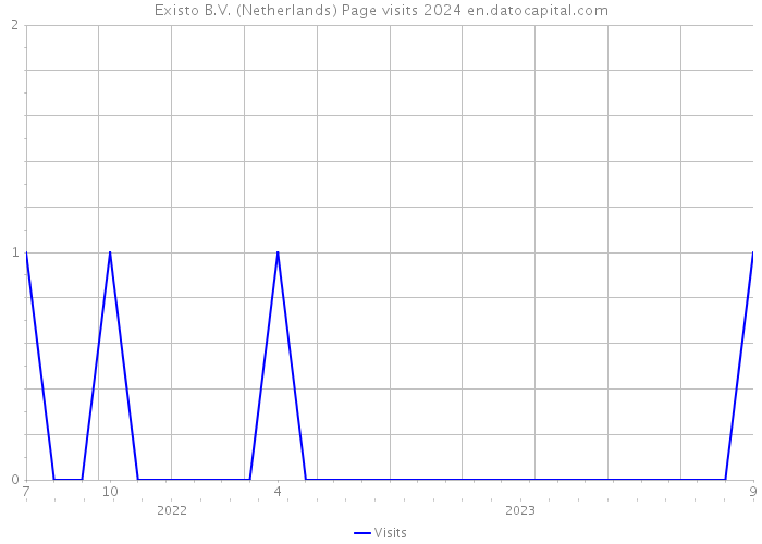 Existo B.V. (Netherlands) Page visits 2024 