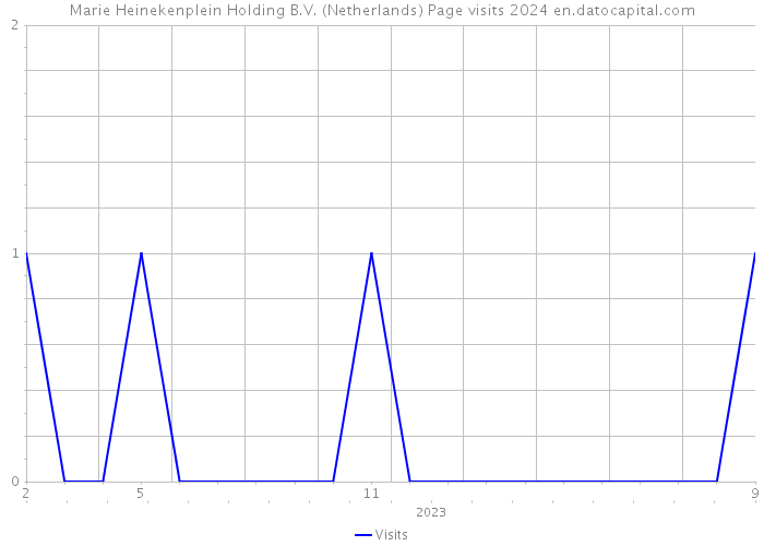 Marie Heinekenplein Holding B.V. (Netherlands) Page visits 2024 