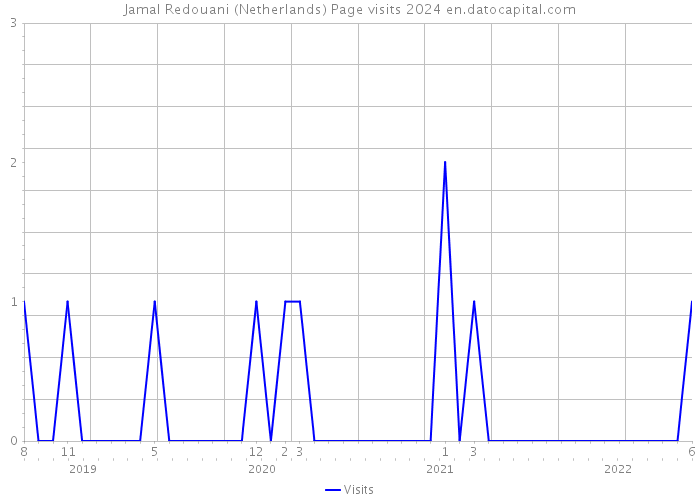 Jamal Redouani (Netherlands) Page visits 2024 