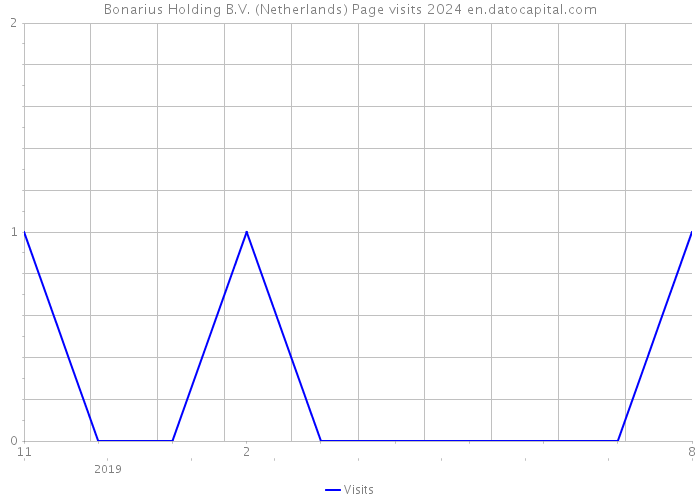 Bonarius Holding B.V. (Netherlands) Page visits 2024 