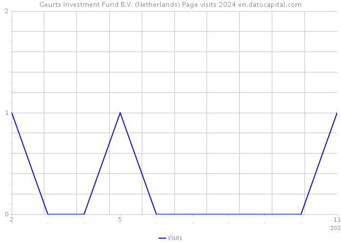 Geurts Investment Fund B.V. (Netherlands) Page visits 2024 