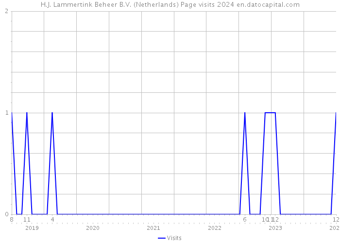 H.J. Lammertink Beheer B.V. (Netherlands) Page visits 2024 