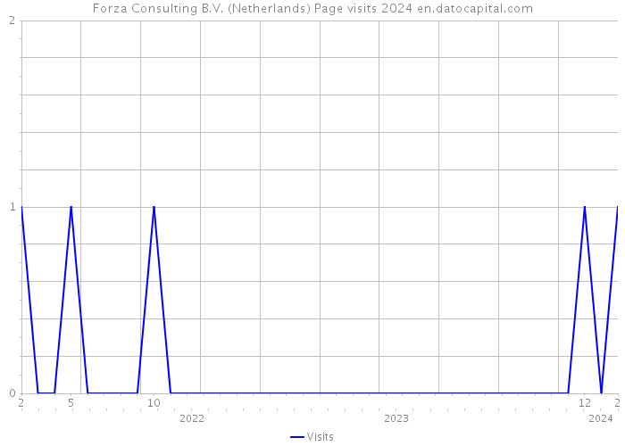 Forza Consulting B.V. (Netherlands) Page visits 2024 