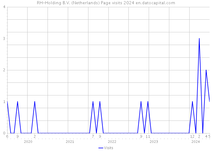 RH-Holding B.V. (Netherlands) Page visits 2024 