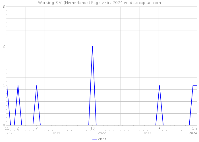 Working B.V. (Netherlands) Page visits 2024 
