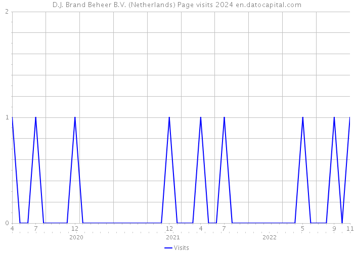 D.J. Brand Beheer B.V. (Netherlands) Page visits 2024 