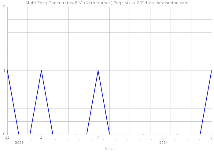 Multi Zorg Consultancy B.V. (Netherlands) Page visits 2024 