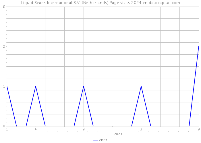 Liquid Beans International B.V. (Netherlands) Page visits 2024 