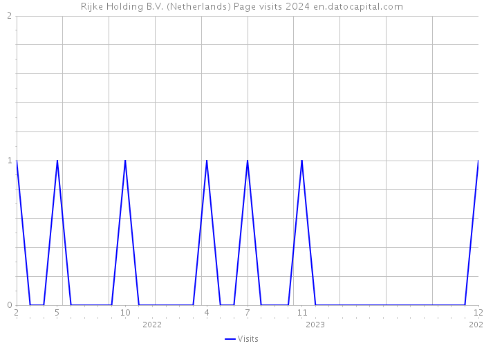 Rijke Holding B.V. (Netherlands) Page visits 2024 