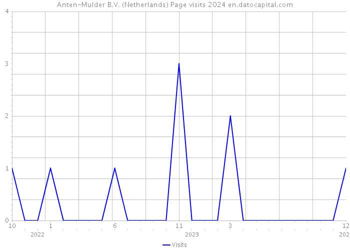 Anten-Mulder B.V. (Netherlands) Page visits 2024 