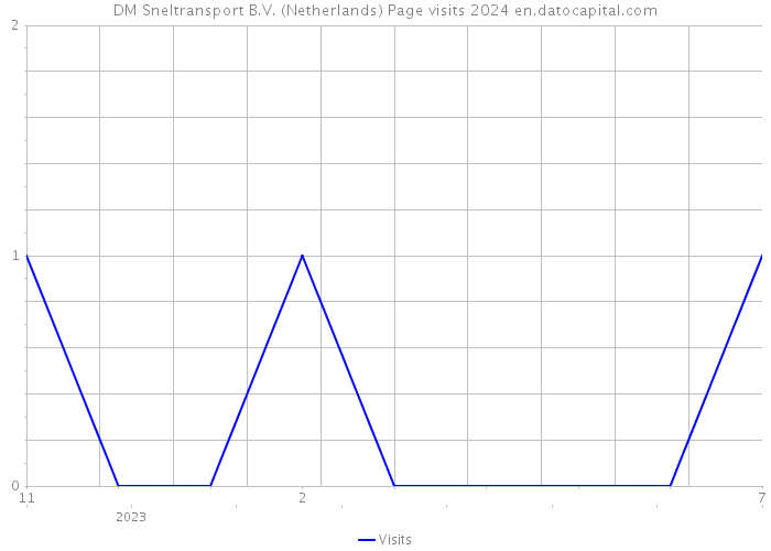 DM Sneltransport B.V. (Netherlands) Page visits 2024 