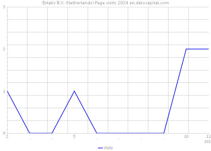 Estatic B.V. (Netherlands) Page visits 2024 