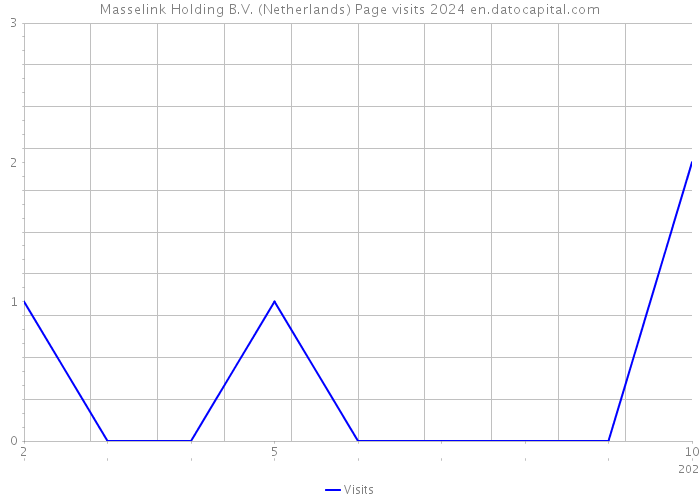 Masselink Holding B.V. (Netherlands) Page visits 2024 