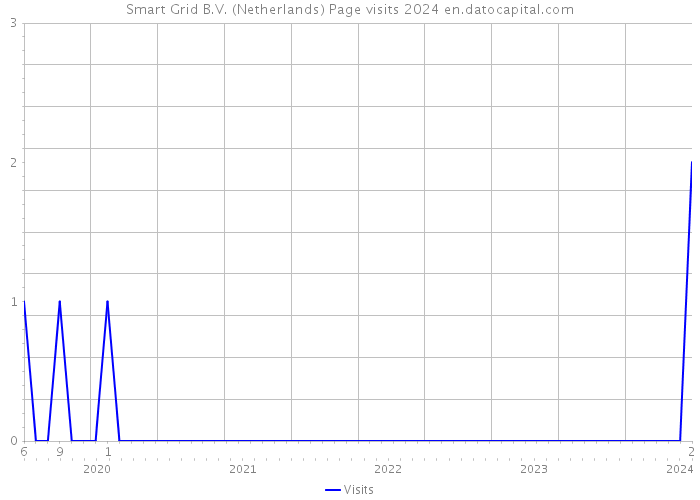 Smart Grid B.V. (Netherlands) Page visits 2024 