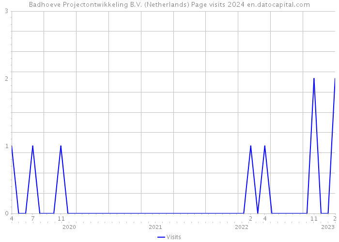 Badhoeve Projectontwikkeling B.V. (Netherlands) Page visits 2024 