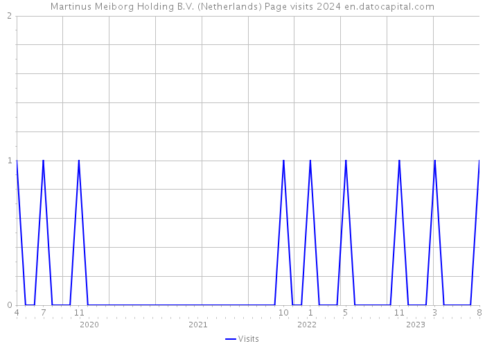 Martinus Meiborg Holding B.V. (Netherlands) Page visits 2024 