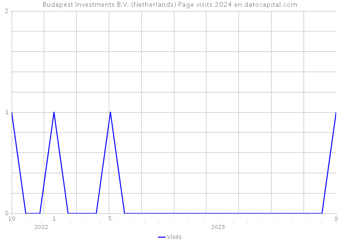 Budapest Investments B.V. (Netherlands) Page visits 2024 