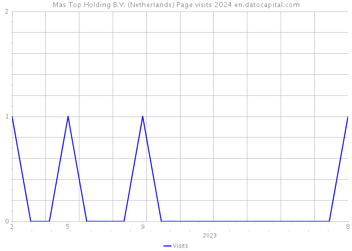 Mas Top Holding B.V. (Netherlands) Page visits 2024 