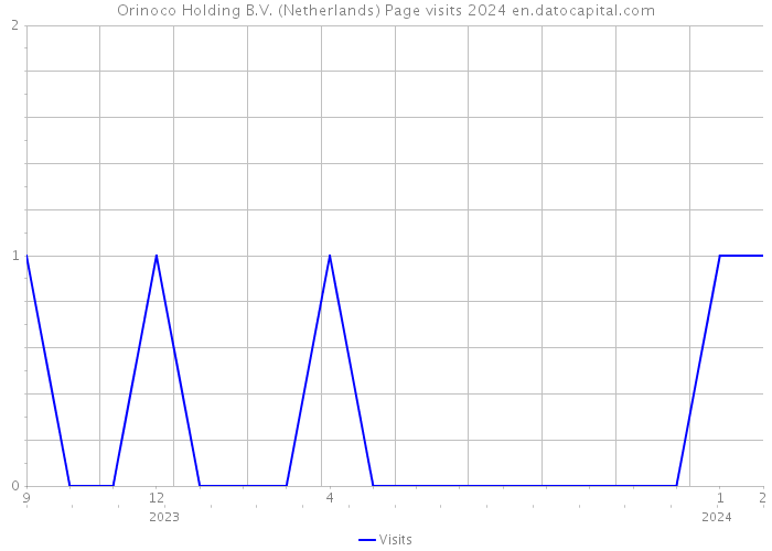 Orinoco Holding B.V. (Netherlands) Page visits 2024 