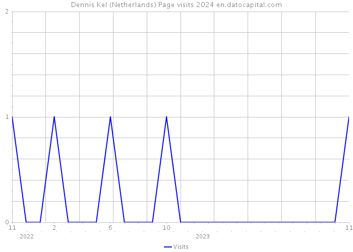 Dennis Kel (Netherlands) Page visits 2024 