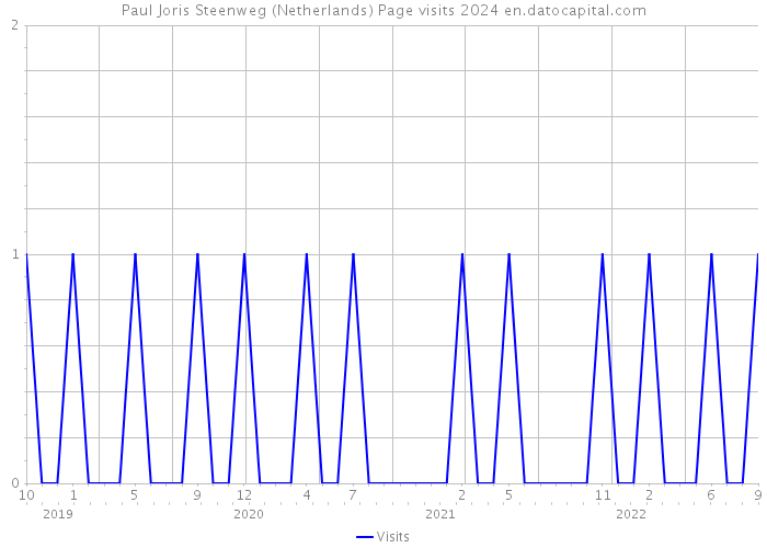 Paul Joris Steenweg (Netherlands) Page visits 2024 