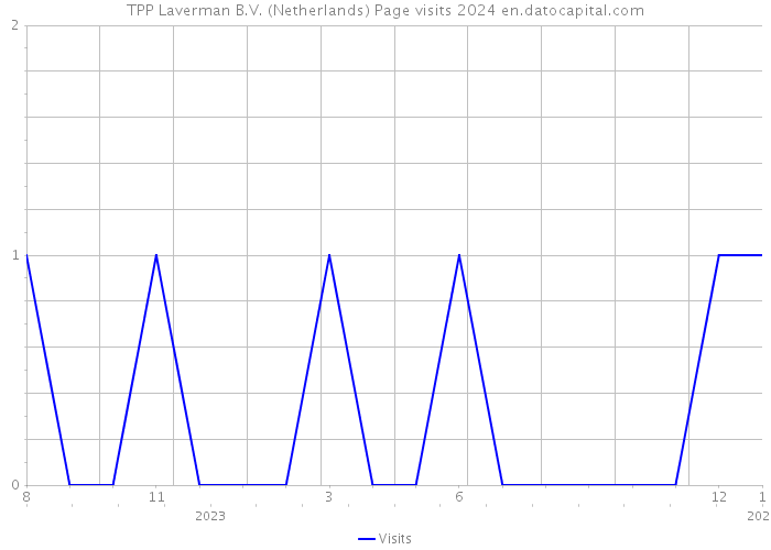TPP Laverman B.V. (Netherlands) Page visits 2024 
