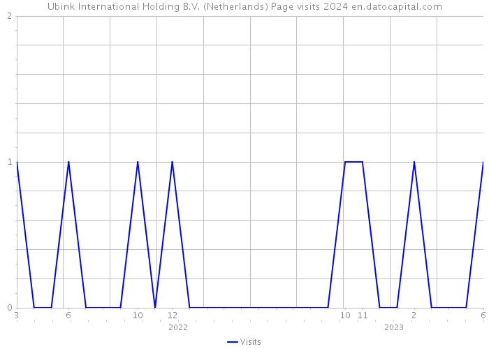 Ubink International Holding B.V. (Netherlands) Page visits 2024 