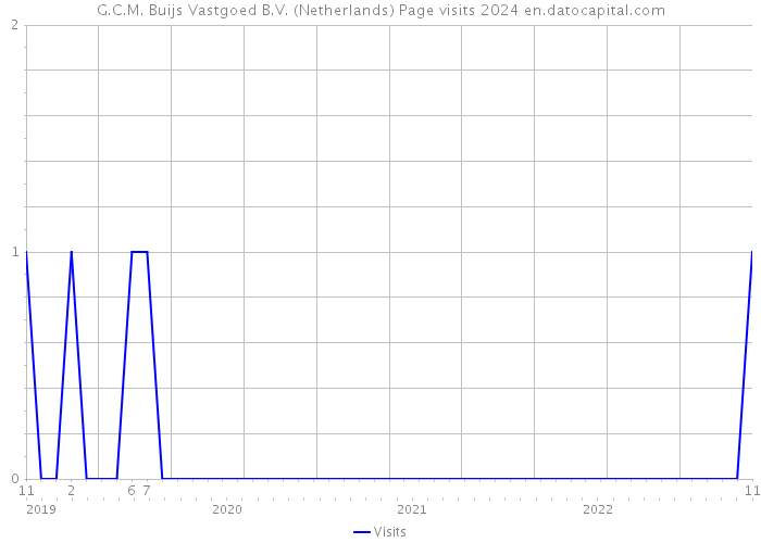G.C.M. Buijs Vastgoed B.V. (Netherlands) Page visits 2024 
