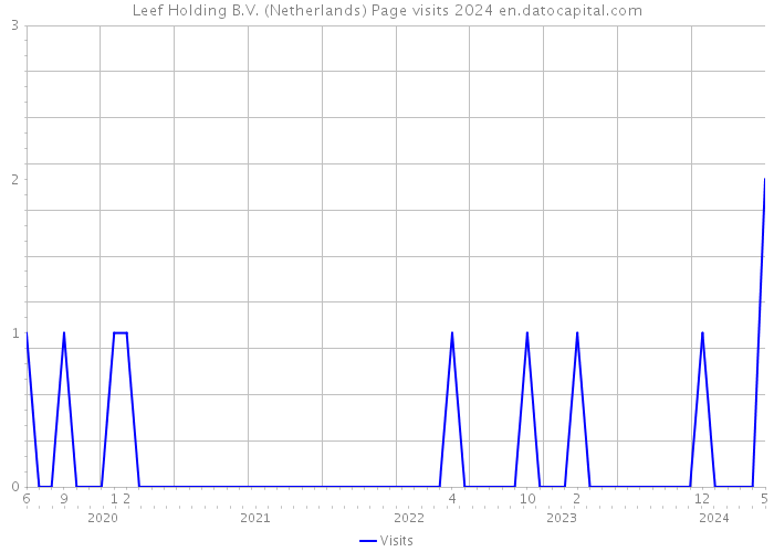 Leef Holding B.V. (Netherlands) Page visits 2024 