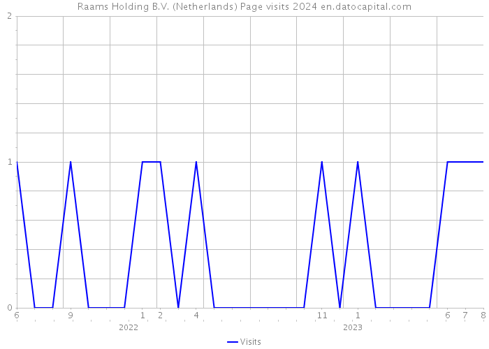 Raams Holding B.V. (Netherlands) Page visits 2024 