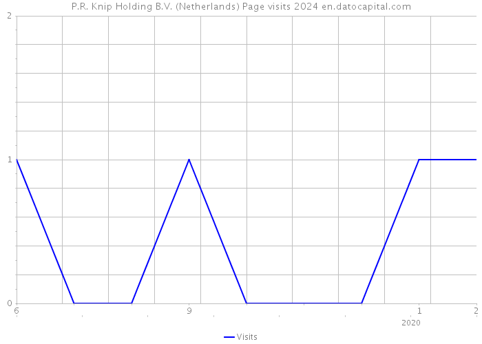 P.R. Knip Holding B.V. (Netherlands) Page visits 2024 