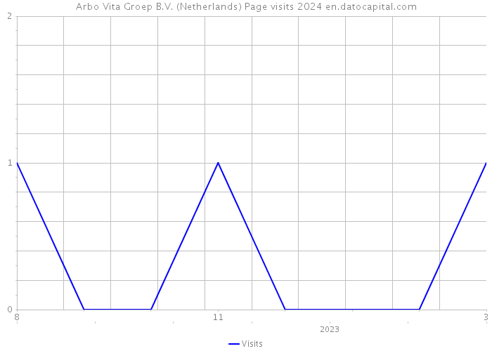 Arbo Vita Groep B.V. (Netherlands) Page visits 2024 