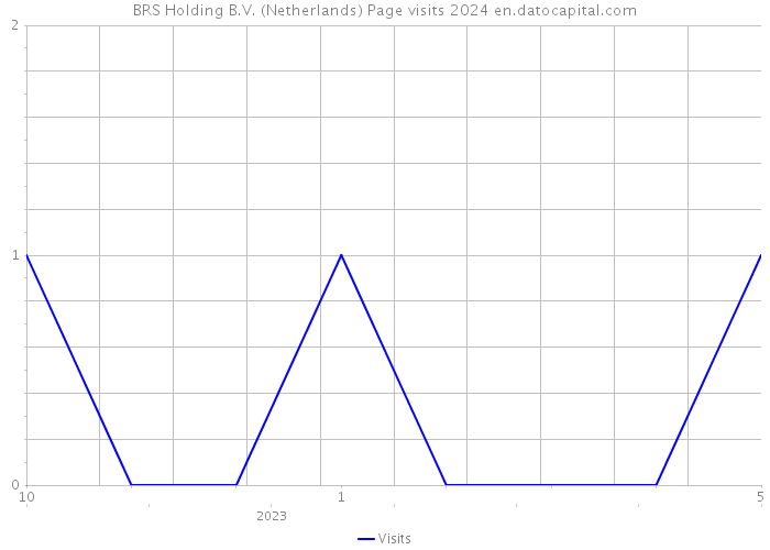 BRS Holding B.V. (Netherlands) Page visits 2024 