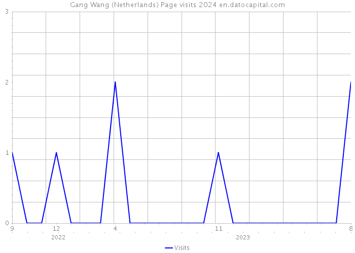 Gang Wang (Netherlands) Page visits 2024 