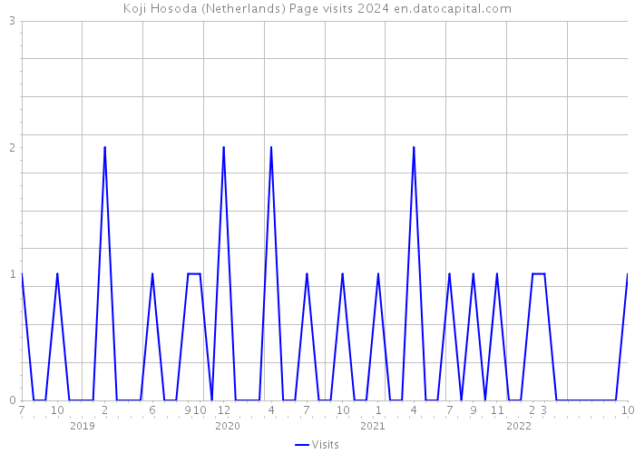 Koji Hosoda (Netherlands) Page visits 2024 