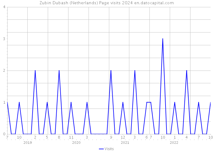 Zubin Dubash (Netherlands) Page visits 2024 