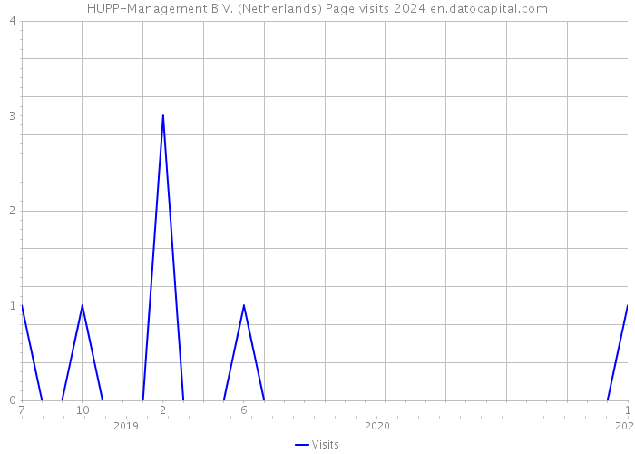 HUPP-Management B.V. (Netherlands) Page visits 2024 
